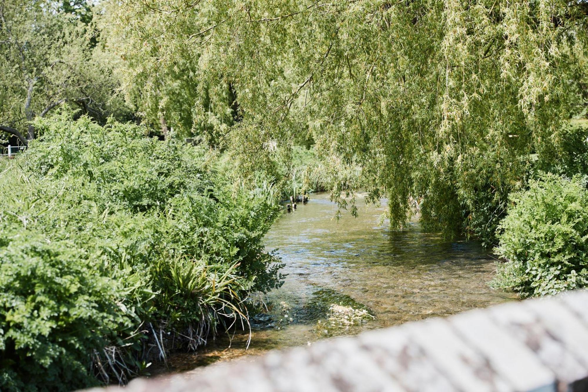 The Bucks Head Bed & Breakfast Carhampton Екстериор снимка